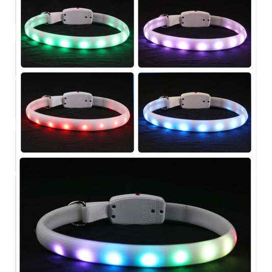 USB Oplaadbare LED Hondenhalsband – Veilig en Zichtbaar in het Donker!