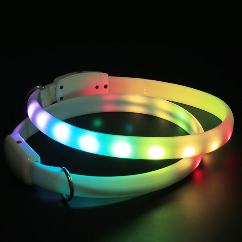 USB Oplaadbare LED Hondenhalsband – Veilig en Zichtbaar in het Donker!